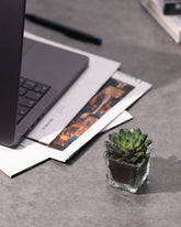 توزيعات (عصاريات) خمس حبات