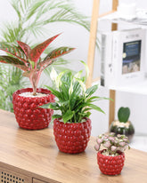 بكج المساحات الداخلية