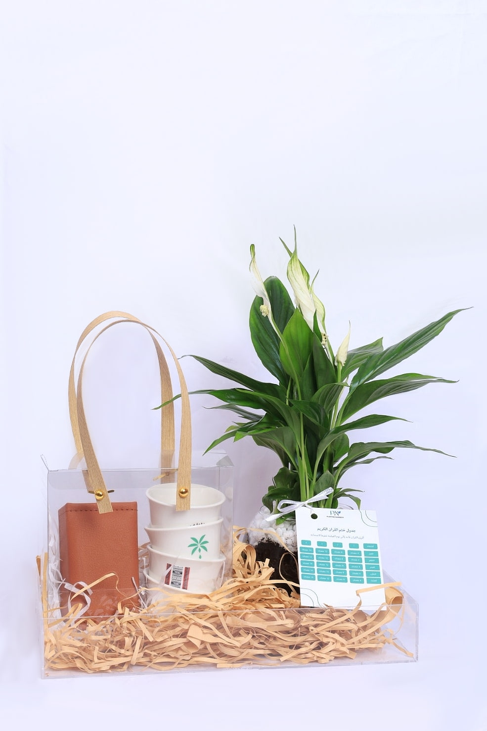 بكج رمضان – نبات السباثفيليوم مع ضيافة