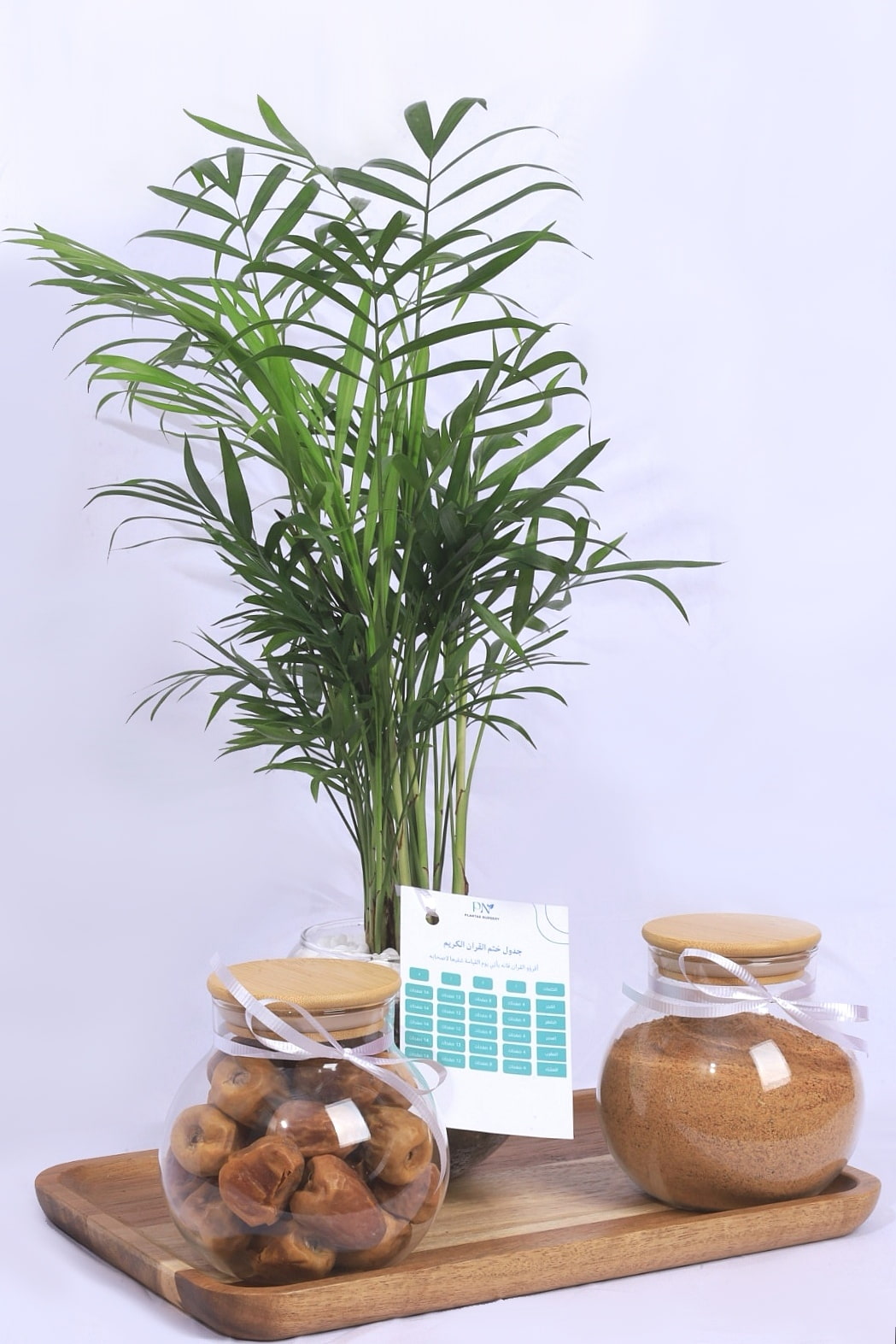 بكج رمضان – نبات شيميدوريا مع تمر وضيافة بالصينية الخشبية