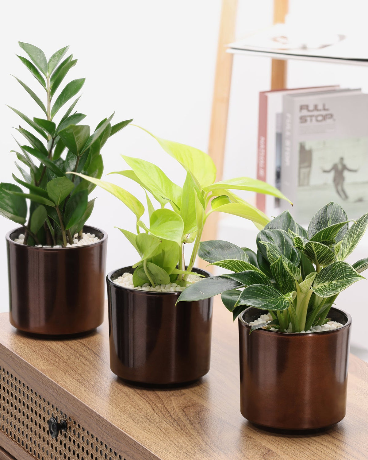 بكج روح المكان