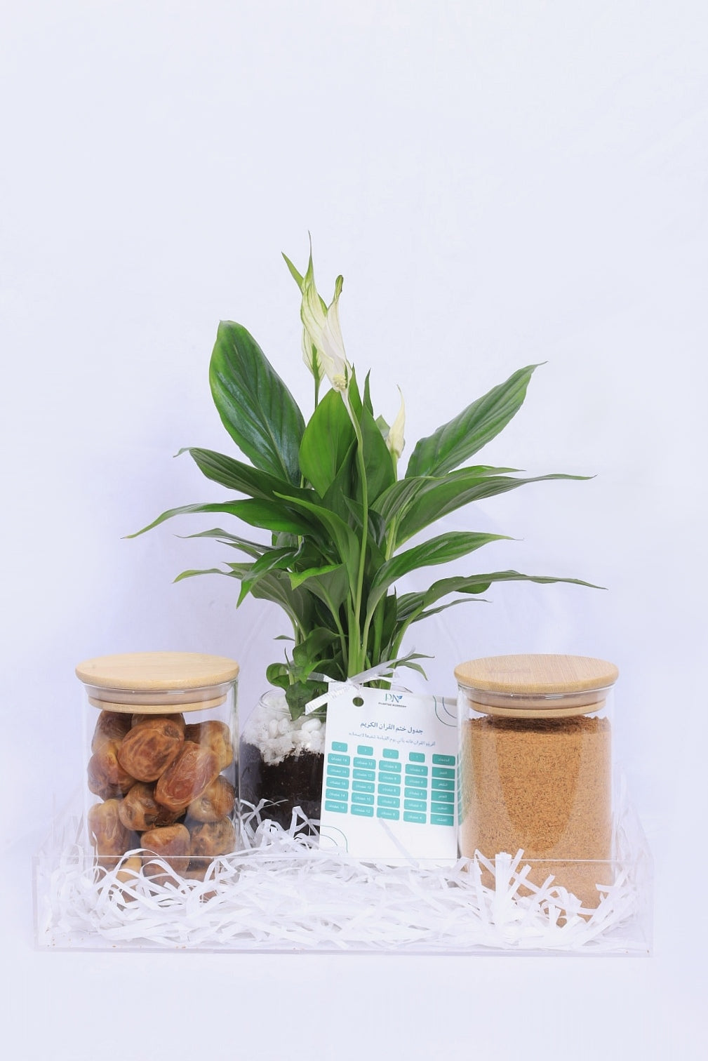 بكج رمضان – نبات السباثفيليوم مع تمر وضيافة بالصينية الشفافة